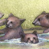 THREE LITTLE BEARS IN TAHOE by Kristen Schwartz