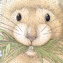A TAHOE PIKA IS SHOWN WITH WILDFLOWERS IN ITS MOUTH - Illustration by Kristen Schwartz