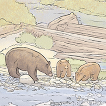 A MOTHER BEAR AND TWO CUBS AT A RIVER IN TAHOE - Illustration by Kristen Schwartz