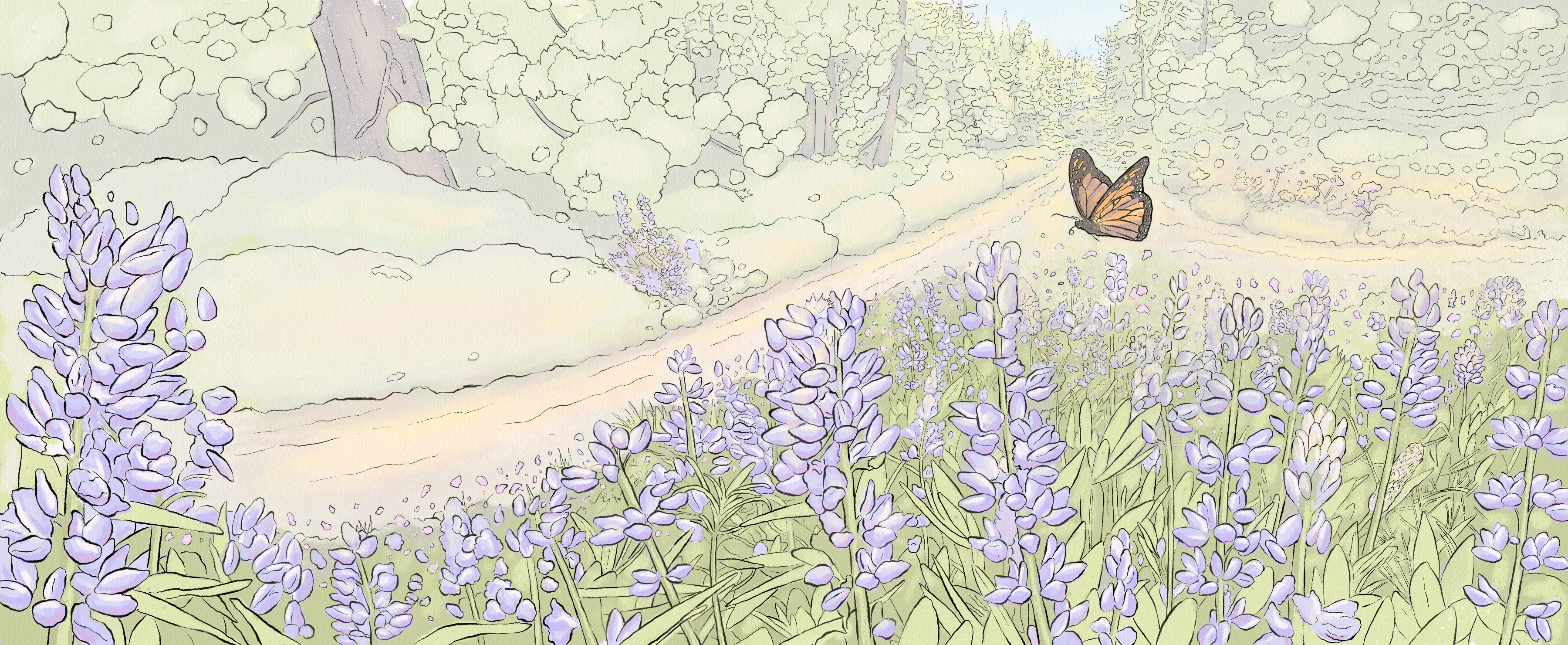 A peaceful meadow with an easy path demonstrating a difference in marketing